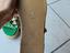 Immagine 3