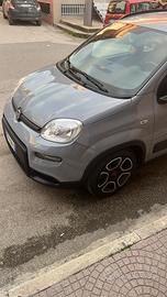 Fiat panda 1.0 hibrid