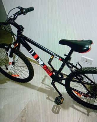 Bicicletta