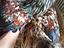 Immagine 4