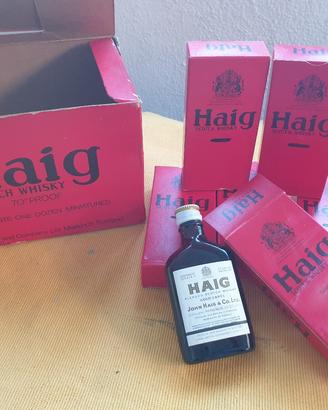 6 mignon whischy Haig 