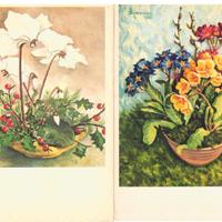 LOTTO 14 CARTOLINE DI QUADRI DIPINTI CON LA BOCCA