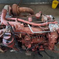Motore iveco 115.17 / 135.17 / 145.17 (8060.25)