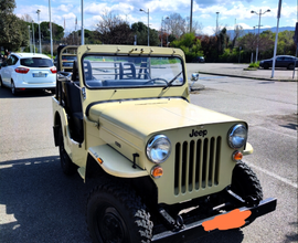 Jeep CJ 3B