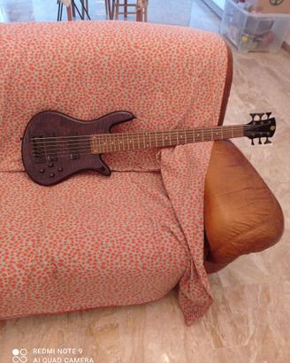 Basso elettrico spector Legend 6 corde