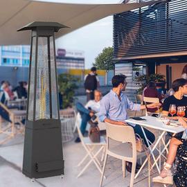 Fungo a pellet GinkoGinger riscaldatore da esterno