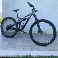 specialized enduro