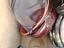 Immagine 1