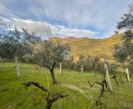 TER. AGRICOLO A SERMONETA