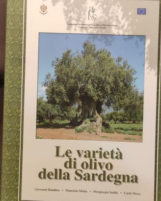 Le varietà di olivo della Sardegna