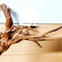 Legno Decorativo x Acquario o Terrario Cm 44x31