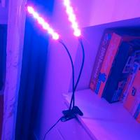 lampada col luci colorate 