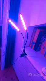 lampada col luci colorate 