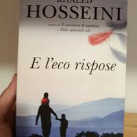 E l'eco rispose - libro da leggere