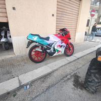 Aprilia af1 50 replica