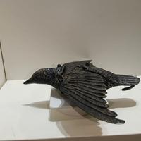 Stampo di Storno ali aperte