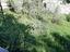 Immagine 21