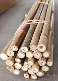 canne da bambù