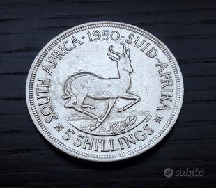 ARGENTO _ 5 shillings SUD AFRICA 1950