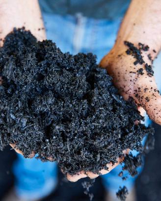 Biochar fertilizzante concime biologico carbone