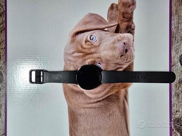 Smartwatch samsung watch 6 44mm