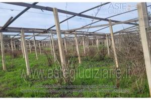 Terreno Agricolo Vittoria [A4348687]