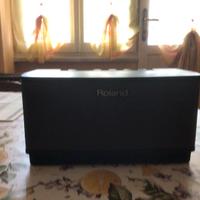 AMPLIFICATORE PER CHITARRA ROLAND CUBE LITE + ALIM