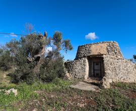 Terreno agricolo con trullo e pozzo vista mare