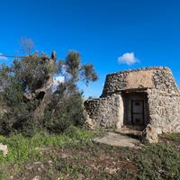 Terreno agricolo con trullo e pozzo vista mare