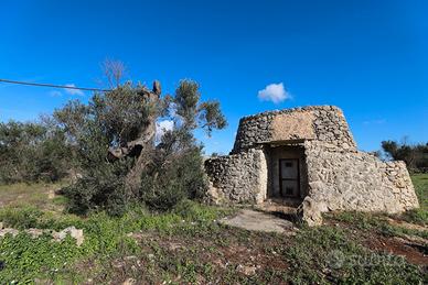 Terreno agricolo con trullo e pozzo vista mare