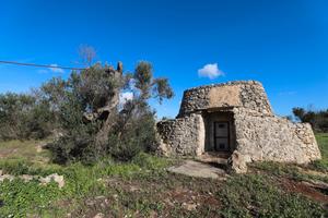 Terreno agricolo con trullo e pozzo vista mare