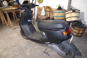 Niu mqi + sport
