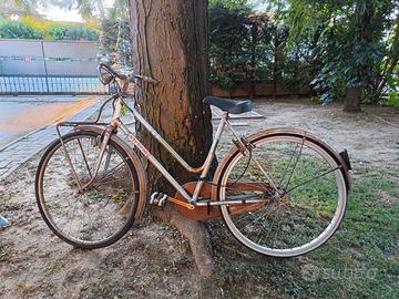 Bicicletta Stelvio da sistemare