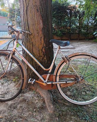 Bicicletta Stelvio da sistemare