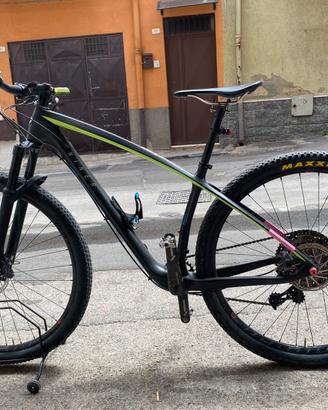 Mauntain Bike Niner
