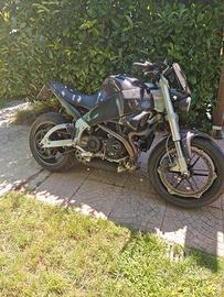 buell XB9S edition limited numer one milano