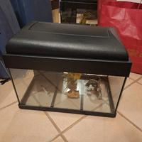 Acquario 50x30x30