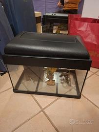 Acquario 50x30x30