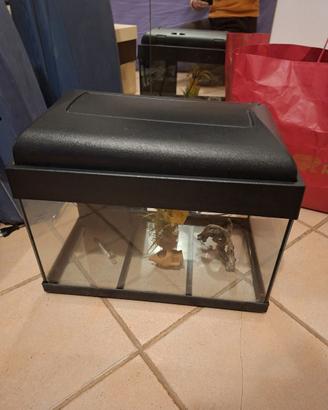 Acquario 50x30x30