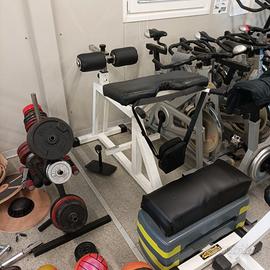 Panca hiperextension Tecnogym