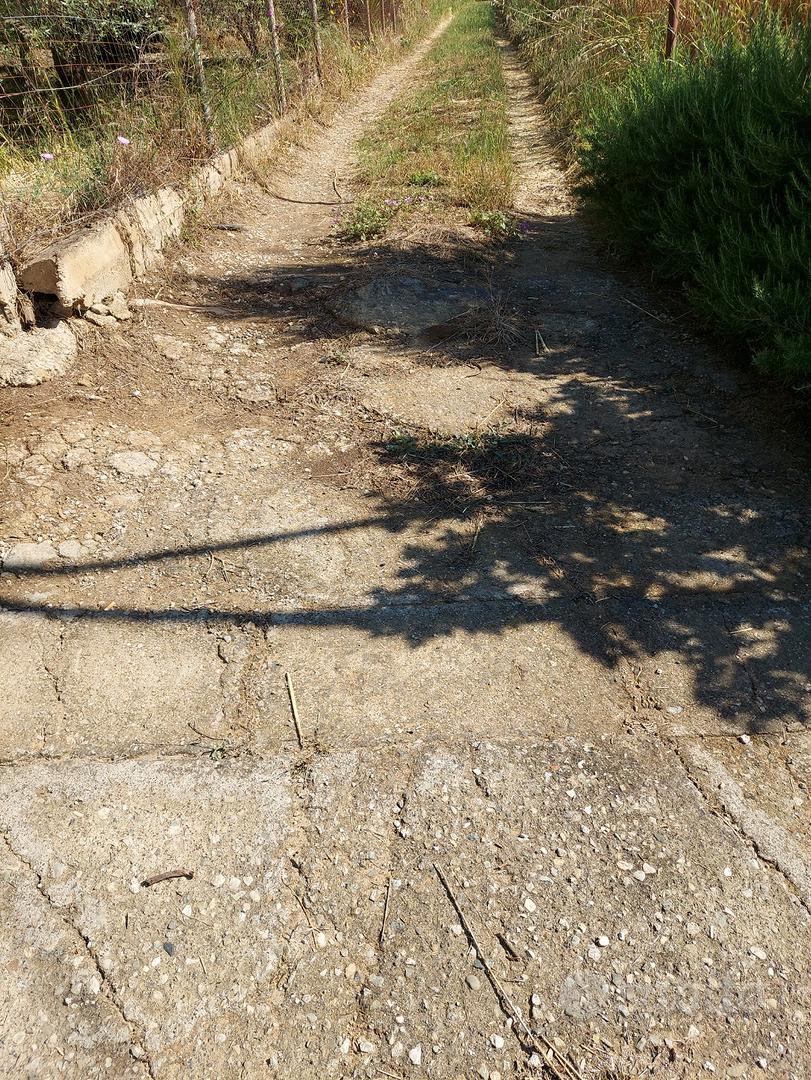 Casa in campagna con fruttetto - Vista 3