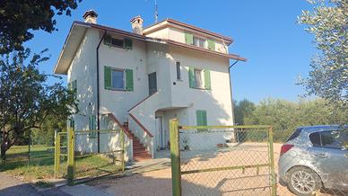 Oasi di pace