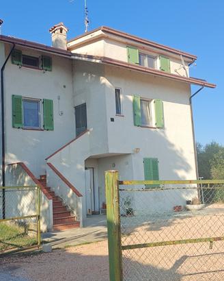 Oasi di pace