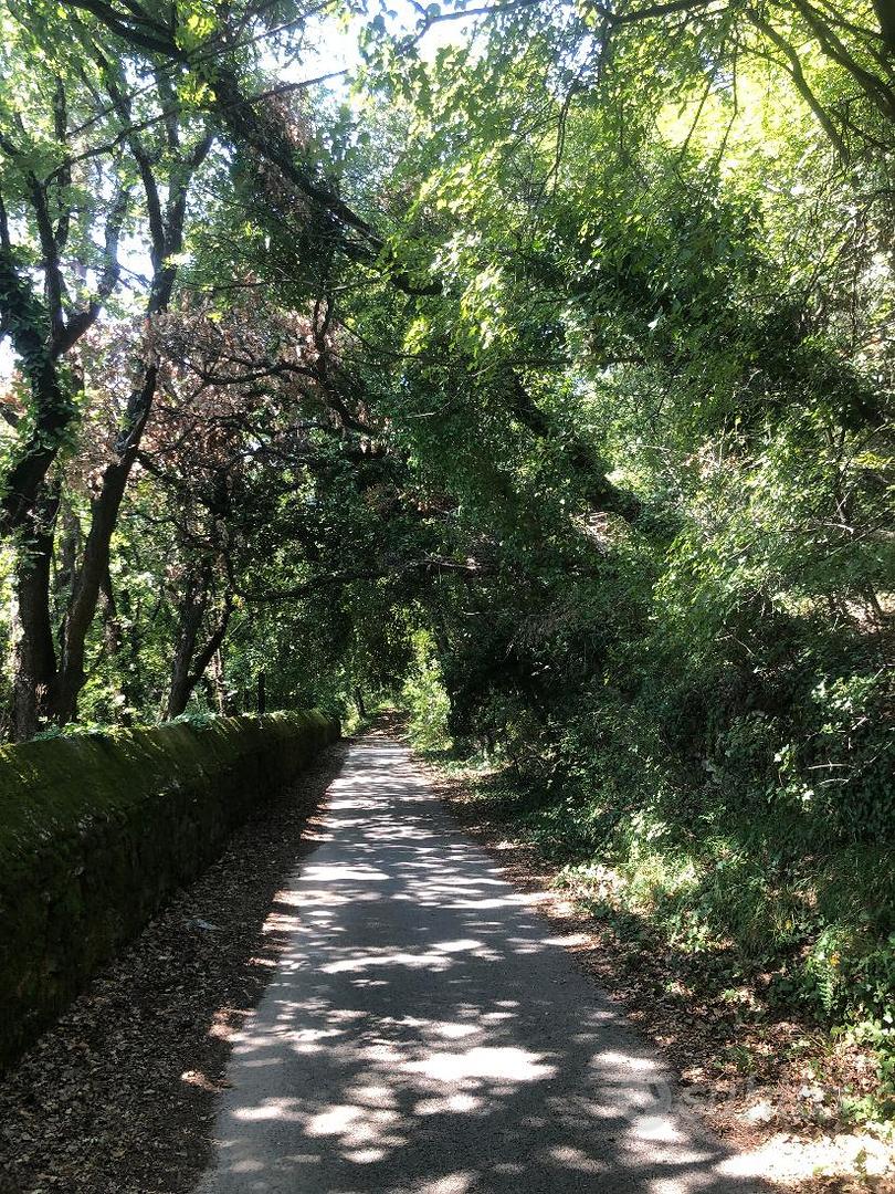 Terreno - Salita di Contovello alta - Altro