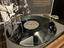 Immagine 5