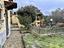 Immagine 10