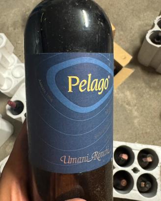 Vino Rosso Pelago
