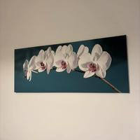 Stampa artistica parete su tela - orchidee bianche