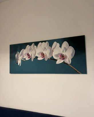 Stampa artistica parete su tela - orchidee bianche