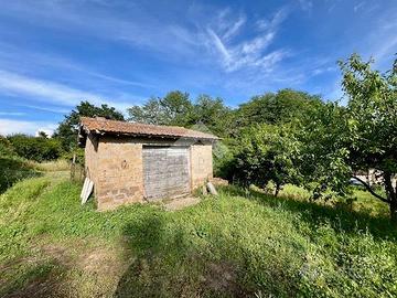 TER. AGRICOLO A MONTEFIASCONE